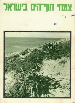צמחי חוף הים בישראל